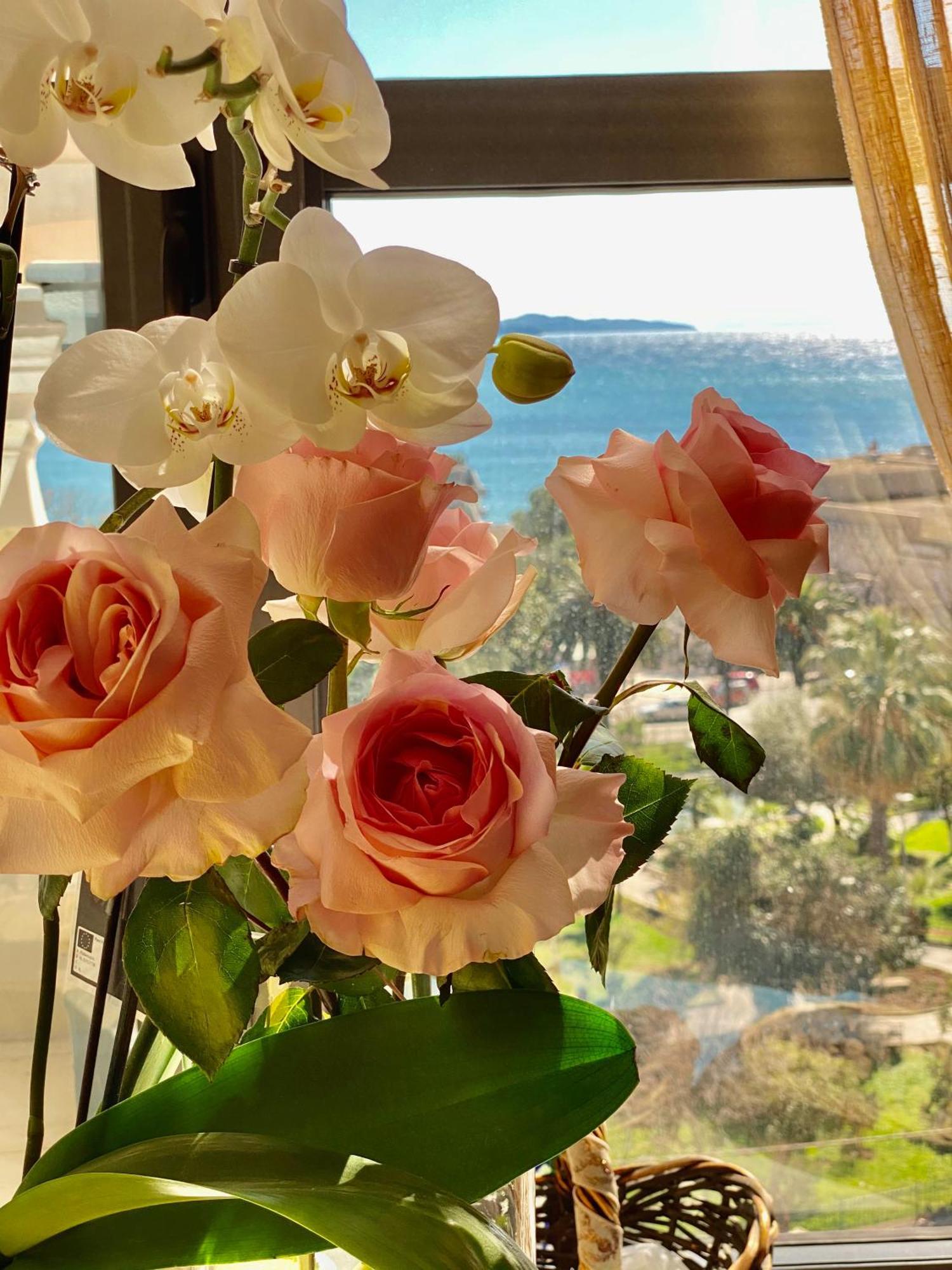 Amarilis Luxury Apartments Sarandë Buitenkant foto